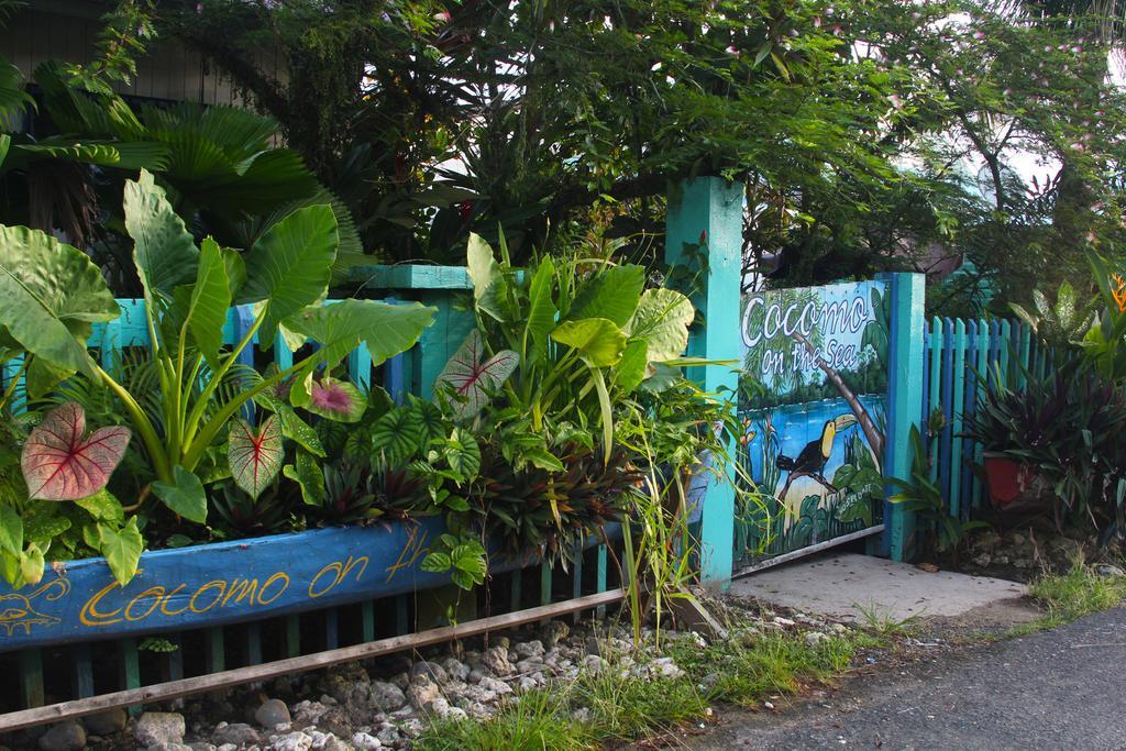 Bed and Breakfast Cocomo On The Sea Bocas del Toro Екстер'єр фото